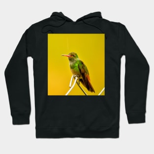 oli green Hummingbird Hoodie